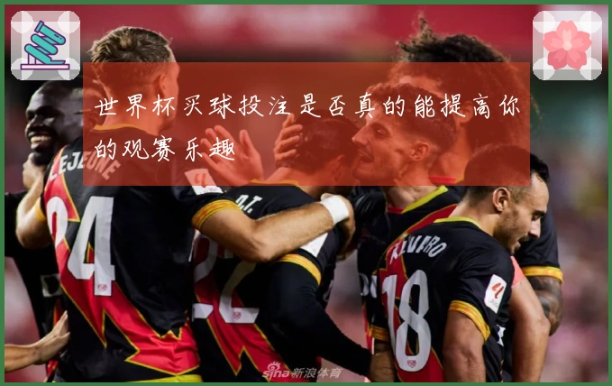 世界杯买球投注是否真的能提高你的观赛乐趣