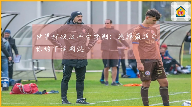 世界杯投注平台评测：选择最适合你的下注网站