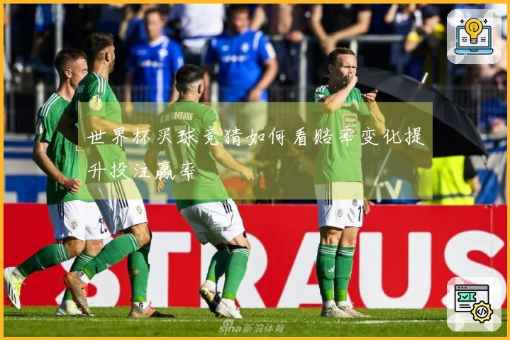 世界杯买球竞猜如何看赔率变化提升投注赢率