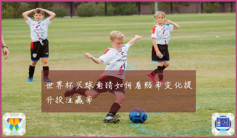 世界杯买球竞猜如何看赔率变化提升投注赢率